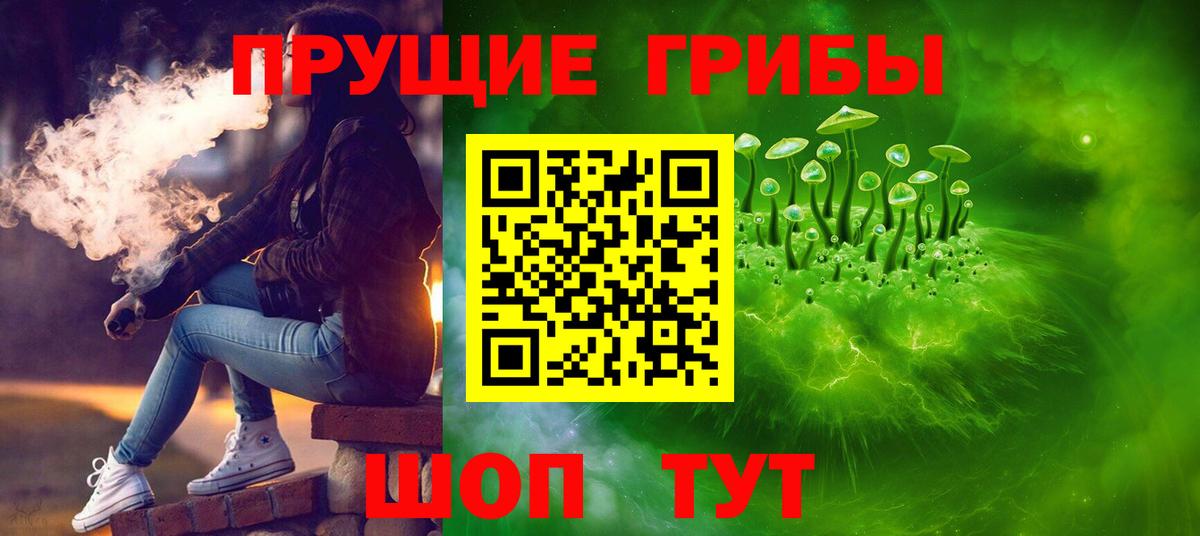 Галлюциногенные грибы Magic Shrooms  Псилоцибиновые грибы Magic Shrooms  Сокол  Вход с VPN 